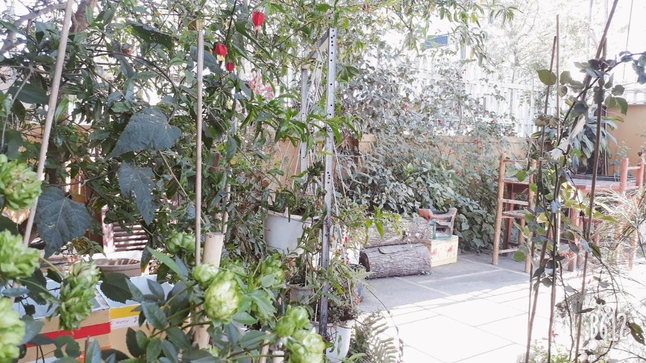 288 Villa Đà Lạt Ngoại thất bức ảnh