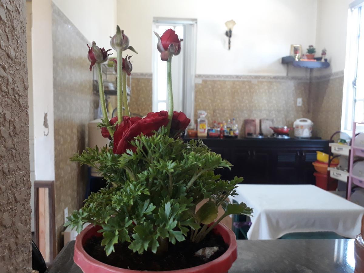 288 Villa Đà Lạt Ngoại thất bức ảnh