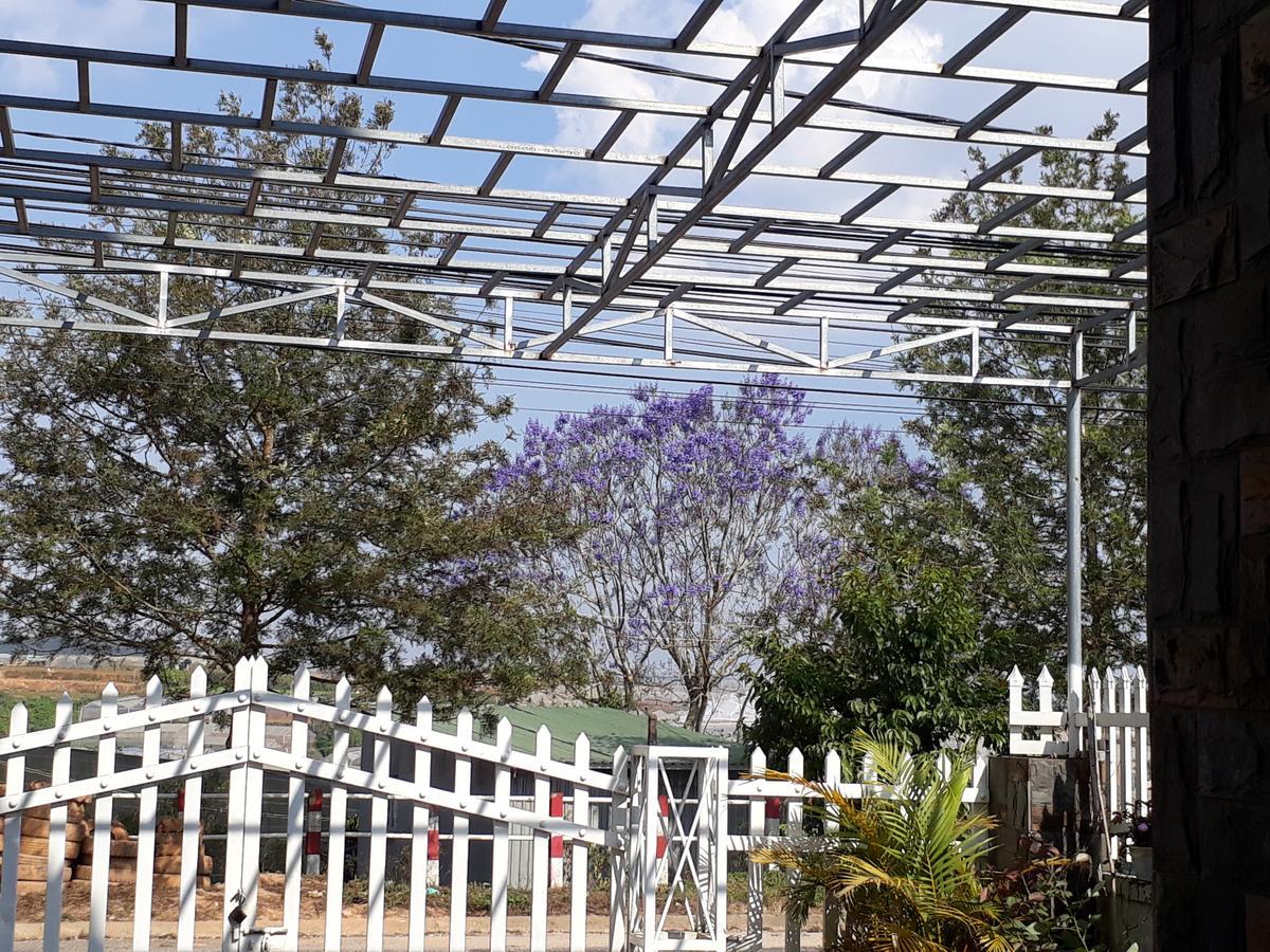 288 Villa Đà Lạt Ngoại thất bức ảnh